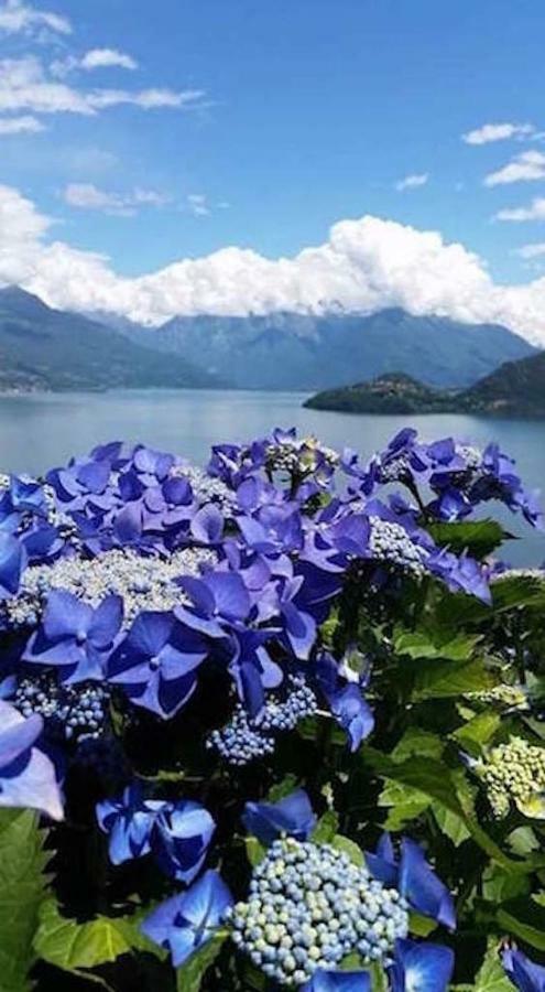 Agriturismo Piccolo Paradiso Pianello Del Lario Exterior foto