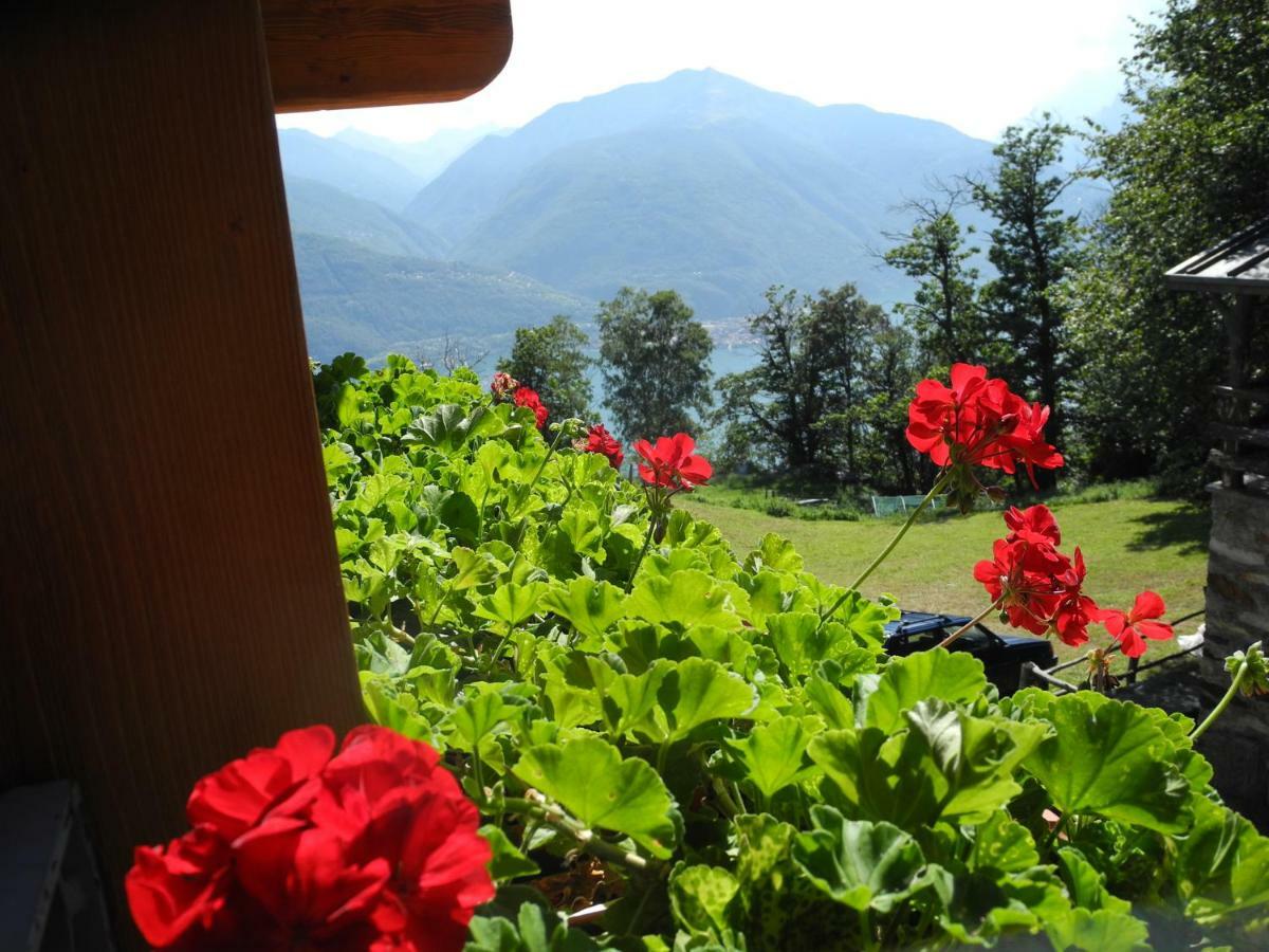 Agriturismo Piccolo Paradiso Pianello Del Lario Exterior foto