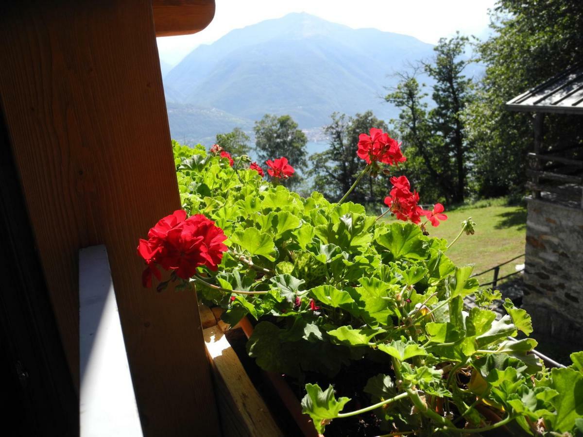Agriturismo Piccolo Paradiso Pianello Del Lario Exterior foto