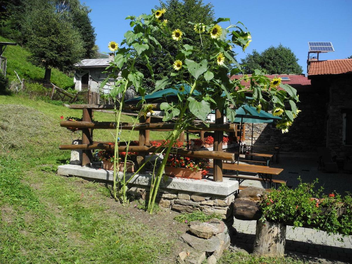 Agriturismo Piccolo Paradiso Pianello Del Lario Exterior foto